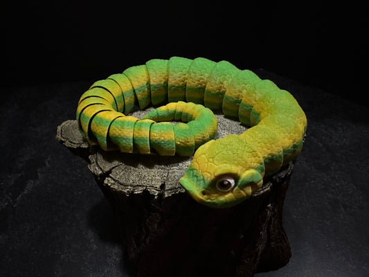 Serpentine Elegance: Articulated Hognose Snake